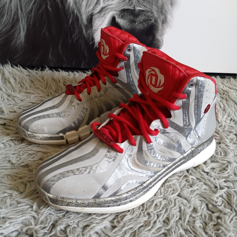 Adidas Basketball Shoes Derrick Rose Sprint Web Ad